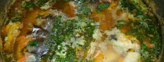 уха из трех видов рыбы. Шаг 7