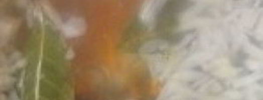 уха из зубатки. Шаг 6