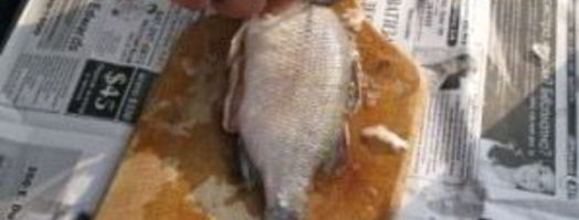 уха на природе. Шаг 3