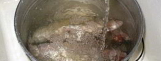 уха на природе. Шаг 4