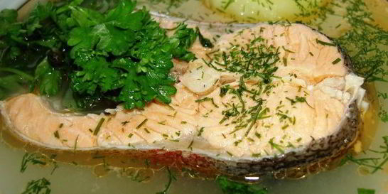 Уха рассольная