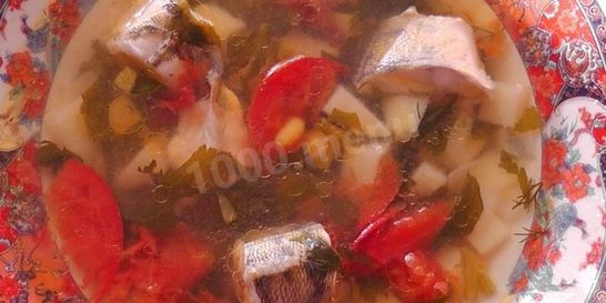 Уха судачья по-ростовски