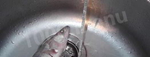 уха судачья по-ростовски. Шаг 3