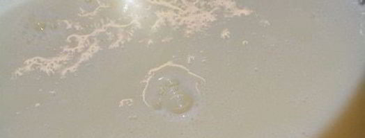 сливочный чизкейк с экзотической ноткой. Шаг 7