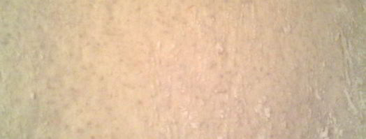 чиабатта в подарок. Шаг 5