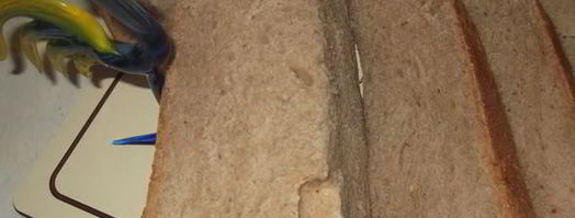 хлеб с корицей и ореховым маслом. Шаг 6