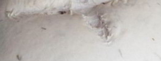 хлеб с розмарином и медом. Шаг 7