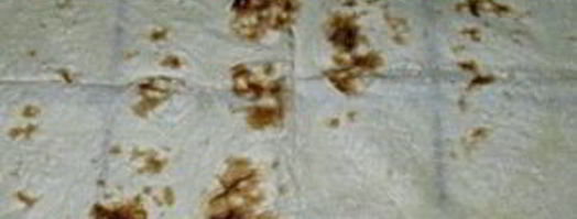 лаваш с консервой. Шаг 5