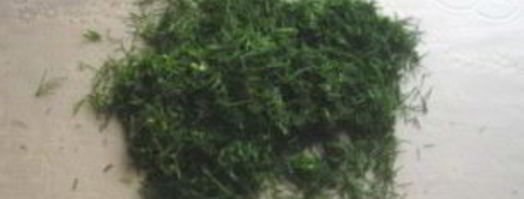 лаваш с курицей. Шаг 3