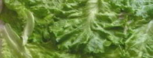 лаваш с курицей. Шаг 7