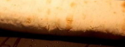 лаваш с сулугуни и кинзой. Шаг 10