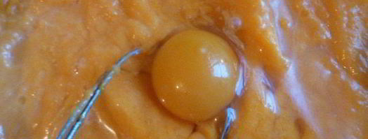 тыквенные лепешки. Шаг 6