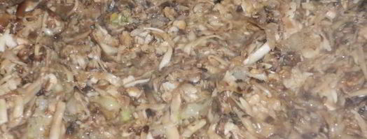 кабачковые оладушки с грибами. Шаг 5