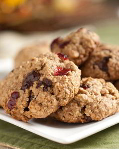 Овсяное печенье с клюквой и медом