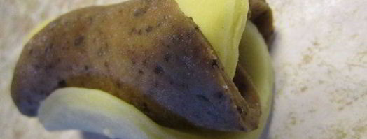 печенье цветочки. Шаг 5