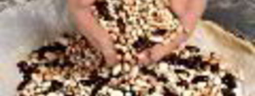 пирог сантьяго. Шаг 3