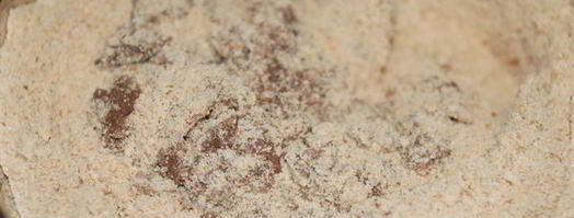 кокосовые пирожные. Шаг 8