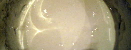 пирожное весенняя свежесть. Шаг 7