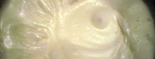 пирожное весенняя свежесть. Шаг 10