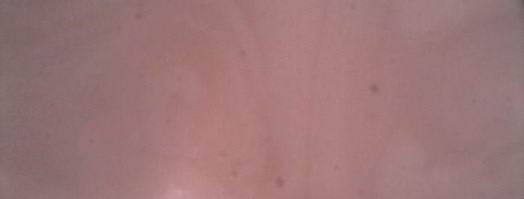 пирожные медовое наслаждение. Шаг 10