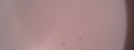 пирожные медовое наслаждение. Шаг 11