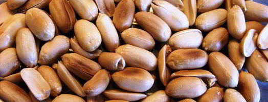 рулетики песочные с орехами. Шаг 5