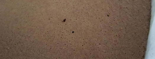 шоколадно-ореховый рулет. Шаг 3