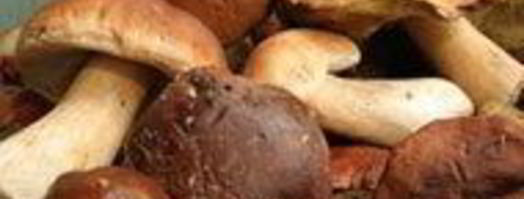 штрудель с лесными грибами и сыром. Шаг 5