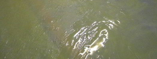 штрудель с яблочно-грушевой начинкой. Шаг 6