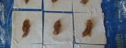 слойки со сгущенкой. Шаг 4