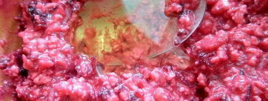 свекольные сырники из духовки. Шаг 12