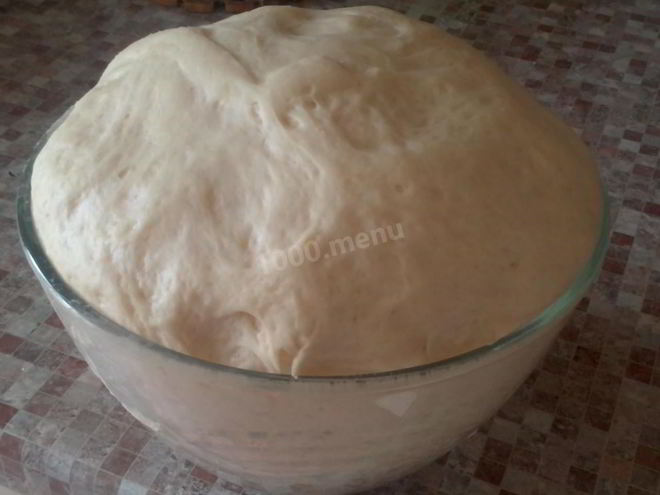Рецепт дрожжевого теста безопарным способом