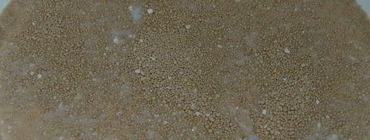 дрожжевое тесто. Шаг 4