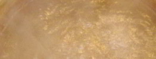 тесто на лазанью. Шаг 8