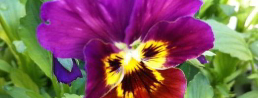 гречневый торт. Шаг 14