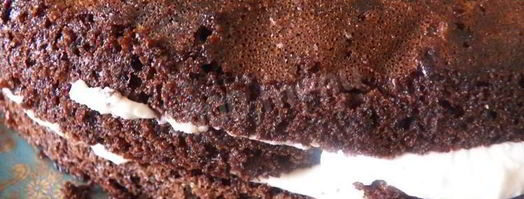шоколадно-творожный торт. Шаг 20