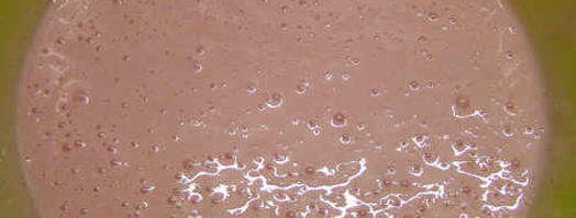 торт из киселя. Шаг 14