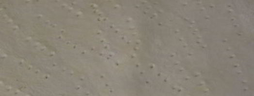 торт наполеон. Шаг 9