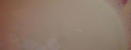 ванильные эклеры. Шаг 8