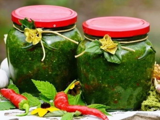 Рецепт аджики из петрушки