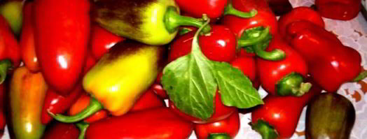 аджика остринка. Шаг 3