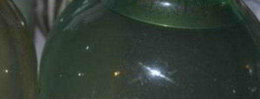 березовый сок на зиму. Шаг 4