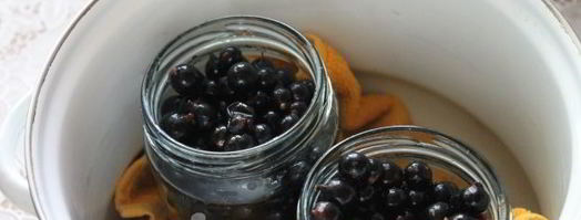 черная смородина без сахара на зиму. Шаг 8