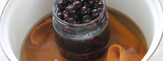 черная смородина без сахара на зиму. Шаг 10