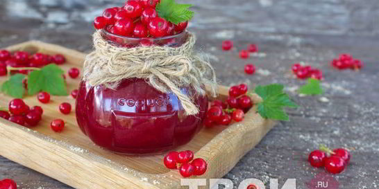 Джем из красной смородины