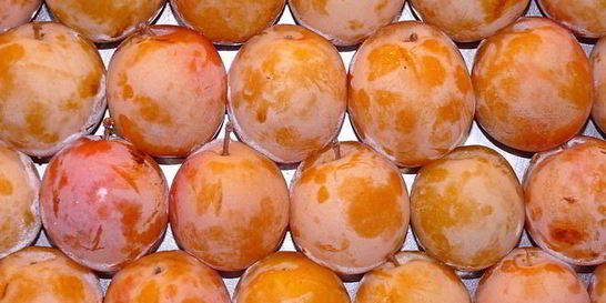 Компот из алычи на зиму