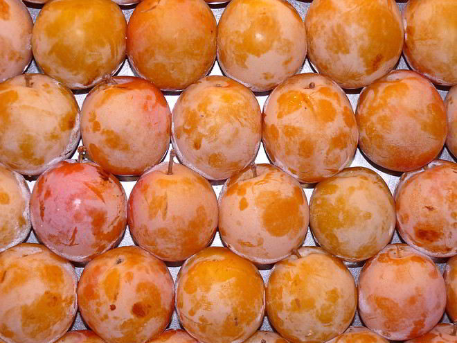 Рецепт компота из алычи на зиму