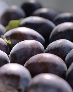 Компот из чернослива на зиму