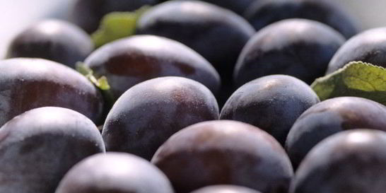 Компот из чернослива на зиму