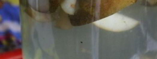 компот из груш и облепихи на зиму. Шаг 6